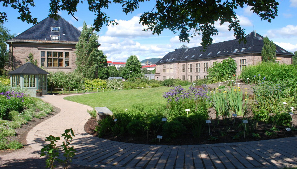 Botanisk Hage i Oslo