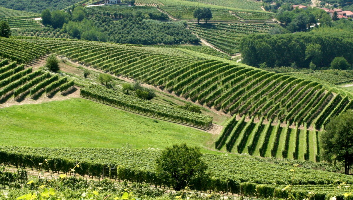 I lavoratori giornalieri nell’agricoltura italiana I lavoratori giornalieri nell’agricoltura italiana