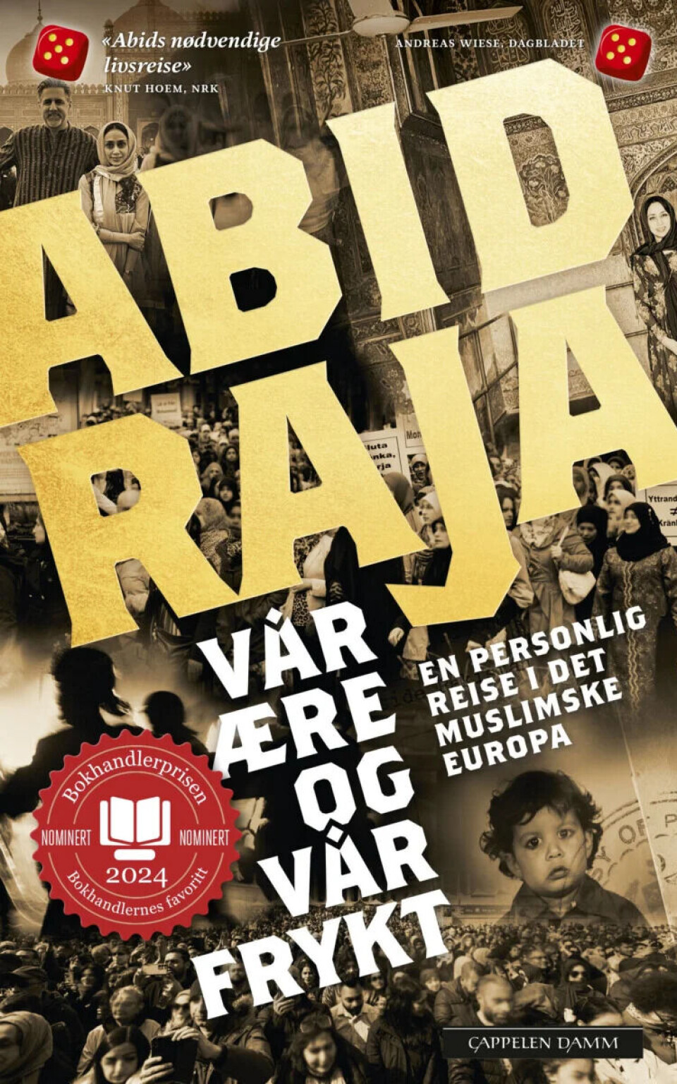 Årets bok: Abid Raja, Vår ære og vår frykt